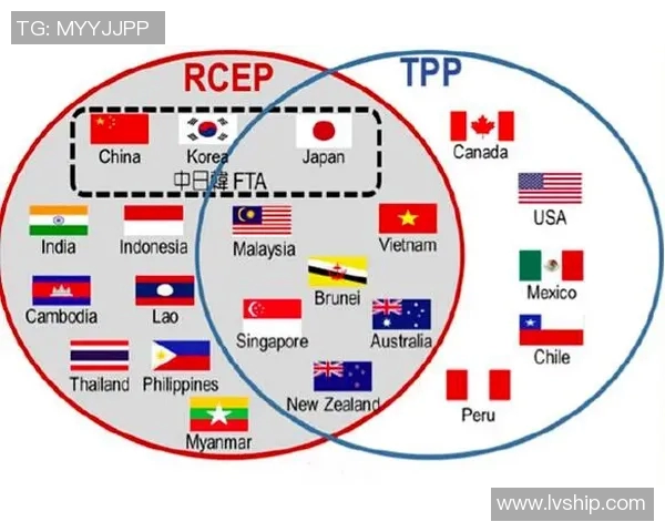 中国与香港的法律体系对比与判决差异探讨 中国与香港的法律体系对比与判决差异探讨