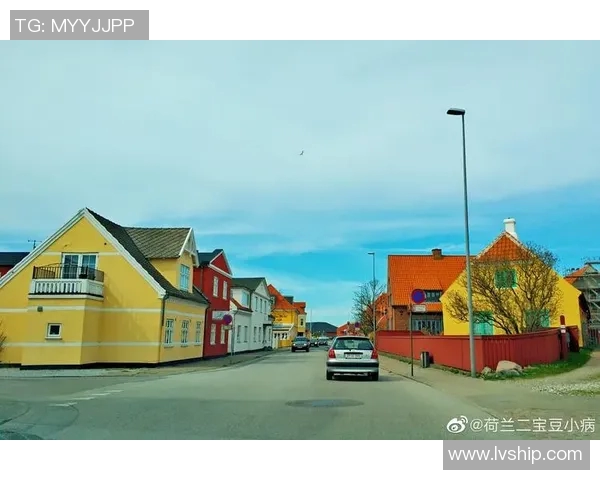 丹麦与德国历史交汇的百年风云与文化碰撞探秘